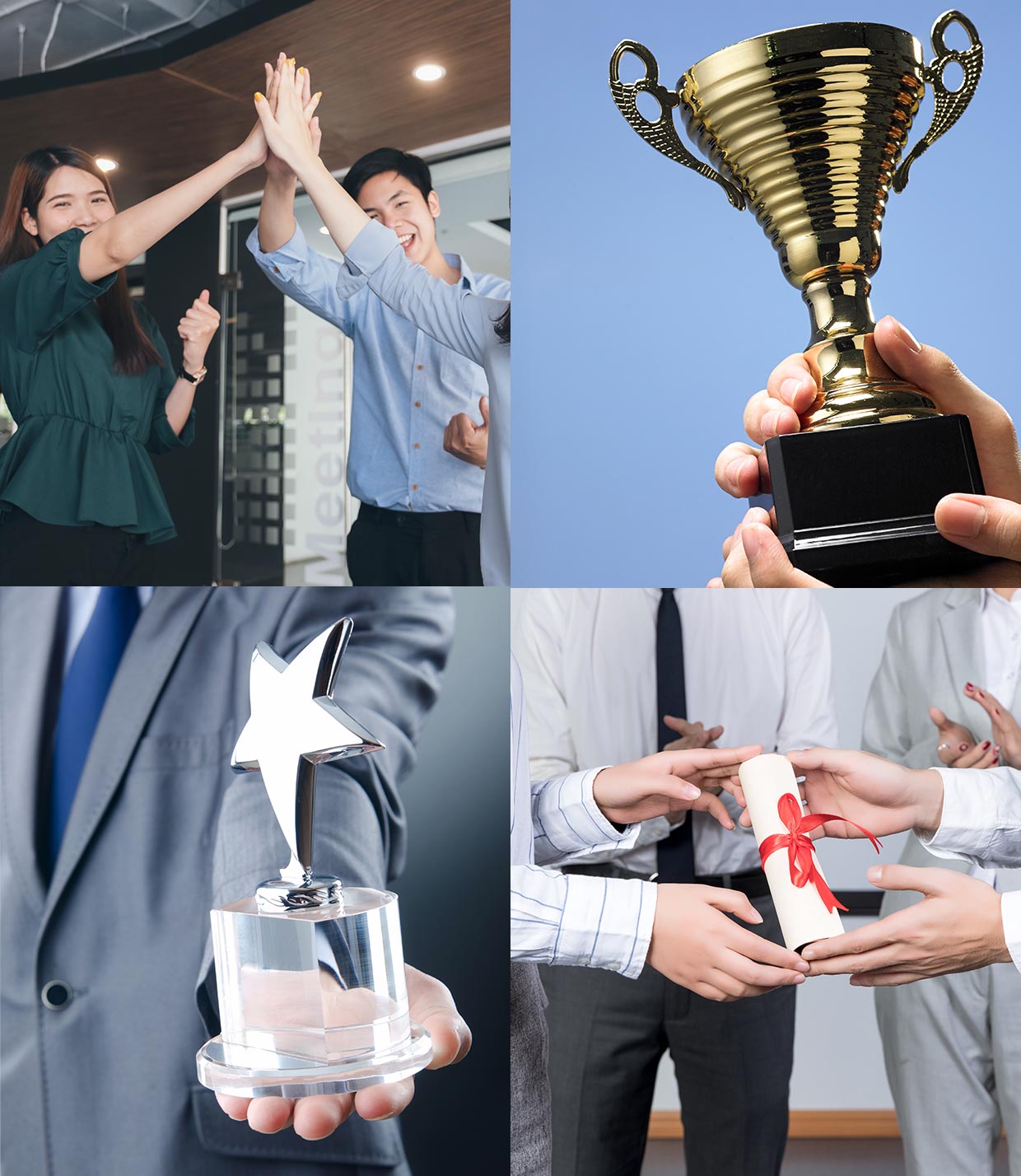 ALSI Awards & Recognition